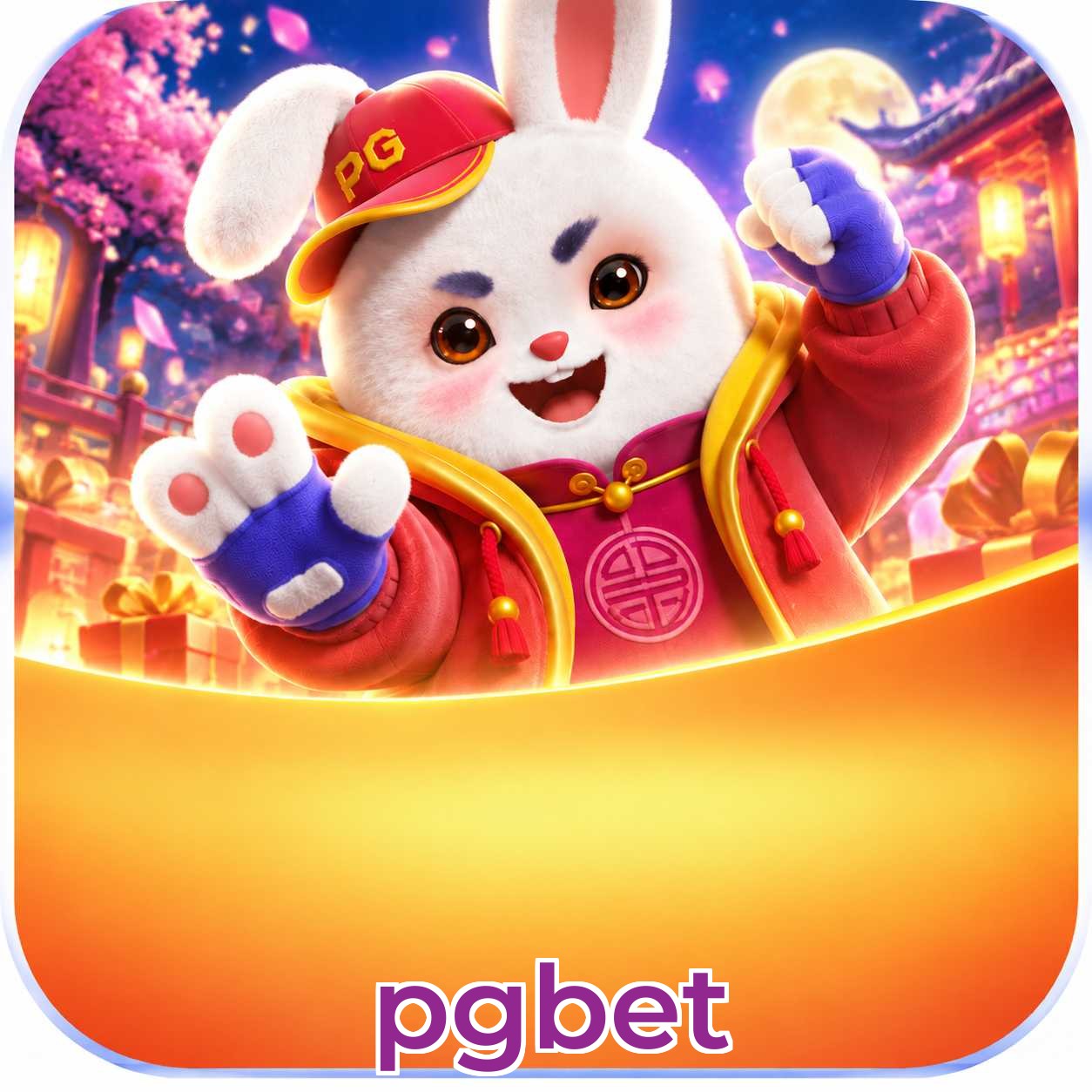 pgbet Métodos de Login